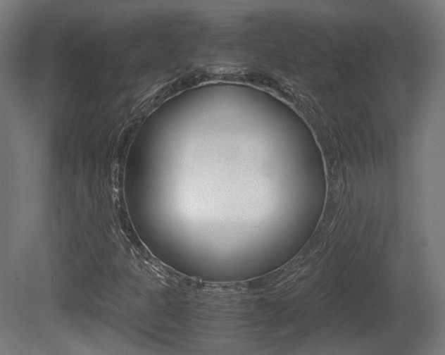 X0000081391301200701111156
