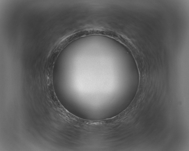 X0000081391303200701111156