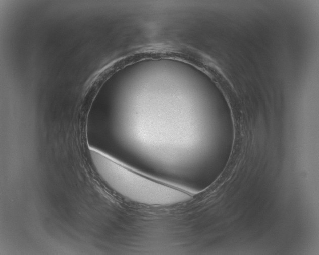 X0000081391304200701111156