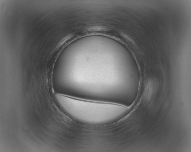 X0000081391305200701111156