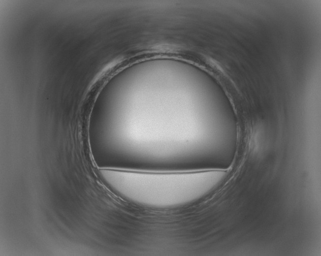 X0000081391307200701111156