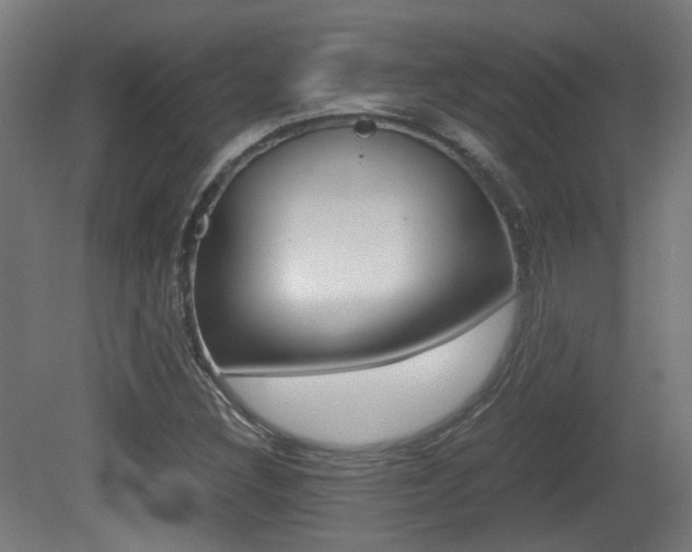 X0000081391308200701111156