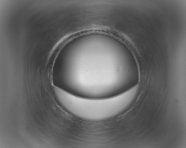 X0000081391310200701111156