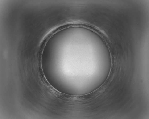 X0000081391311200701111156