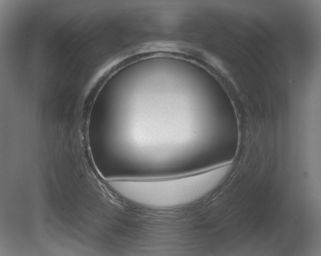 X0000081391312200701111156