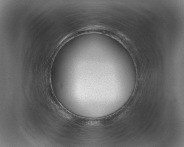 X0000081391313200701111156
