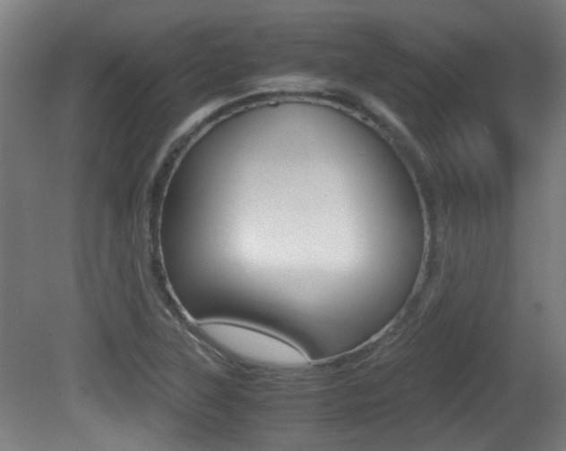 X0000081391315200701111156