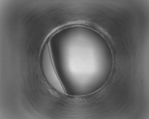 X0000081391316200701111156