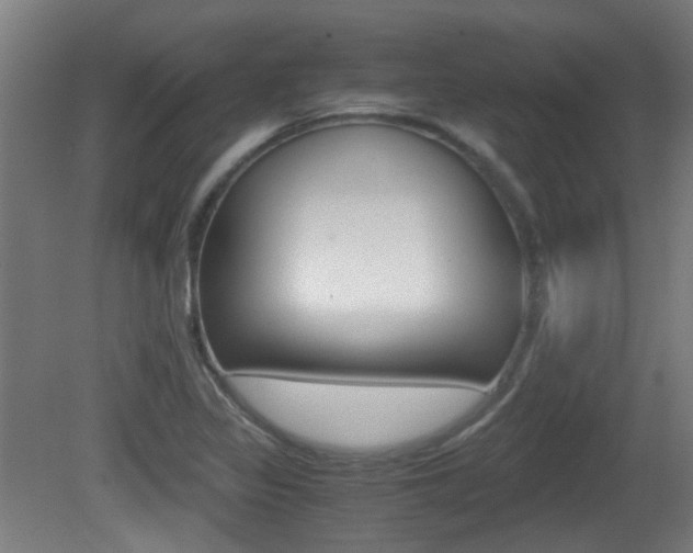 X0000081391317200701111156