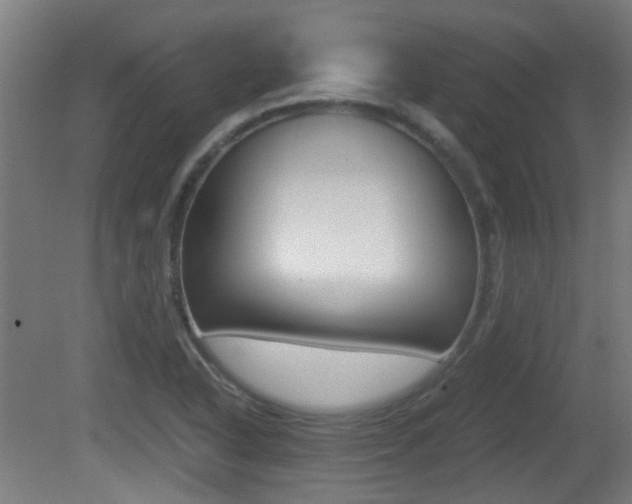 X0000081391318200701111156