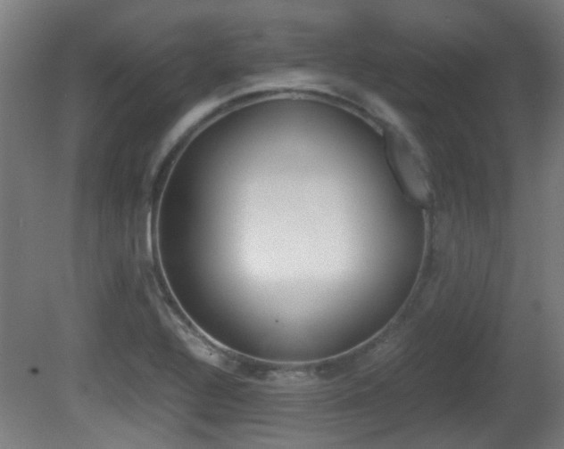 X0000081391320200701111156