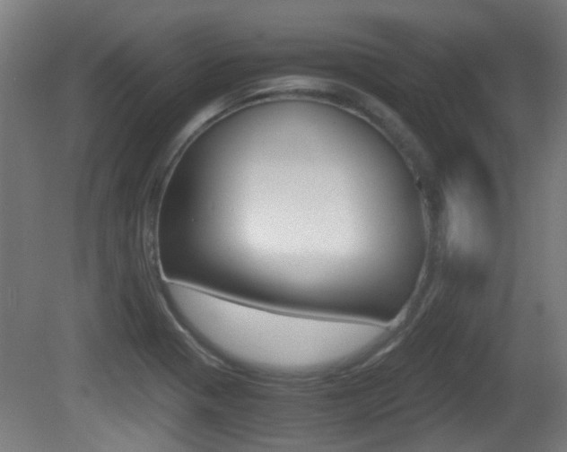 X0000081391321200701111156