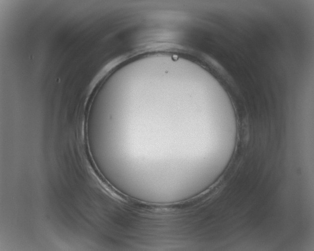 X0000081391322200701111156