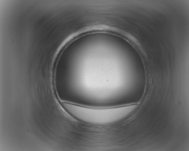 X0000081391326200701111156