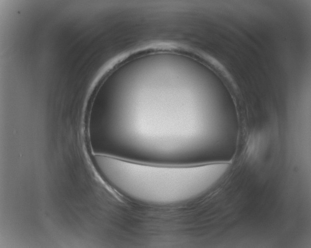 X0000081391327200701111156