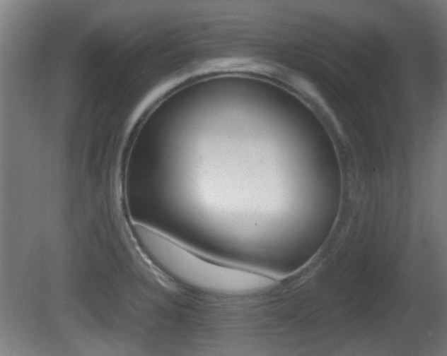 X0000081391328200701111156