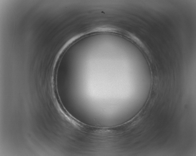 X0000081391331200701111156