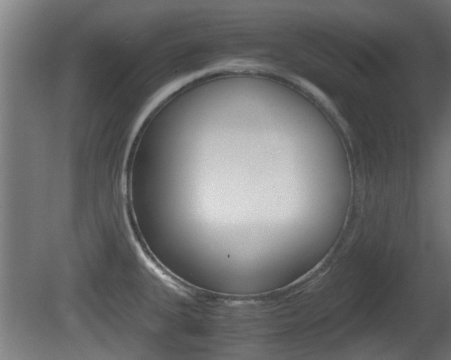 X0000081391335200701111156