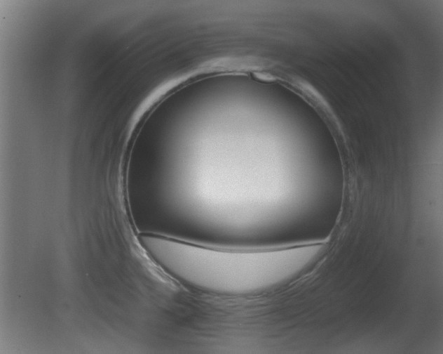 X0000081391336200701111156