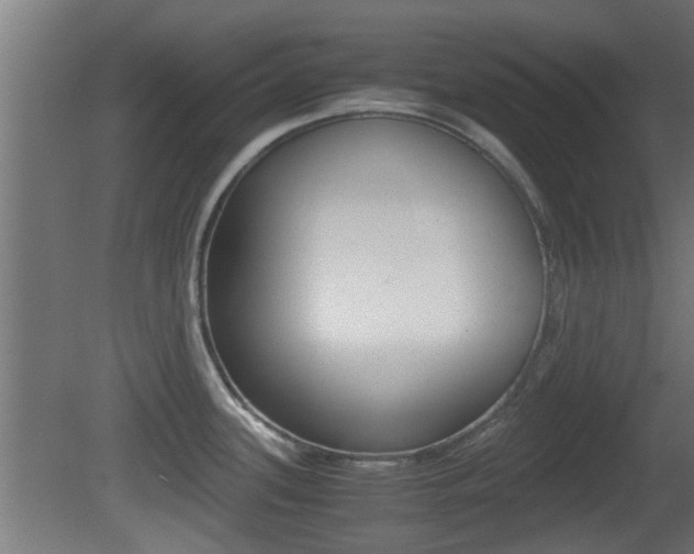 X0000081391339200701111157
