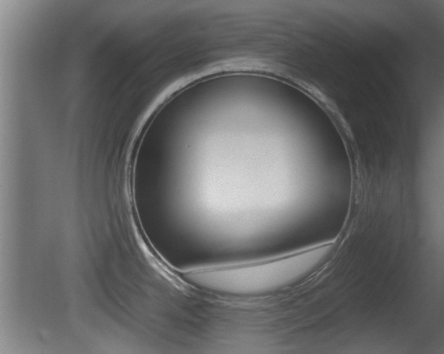 X0000081391342200701111157