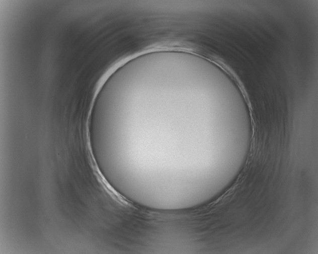 X0000081391344200701111157