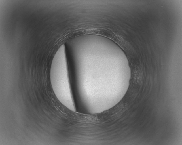 X0000081391346200701111156