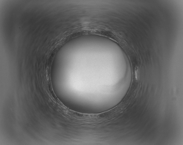 X0000081391347200701111156