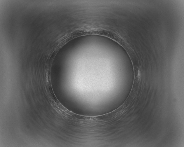X0000081391348200701111156