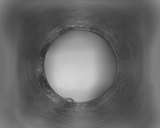 X0000081391350200701111156