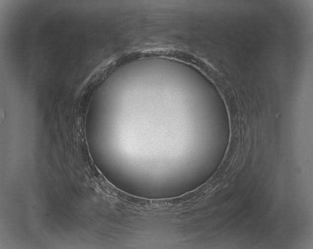 X0000081391351200701111156