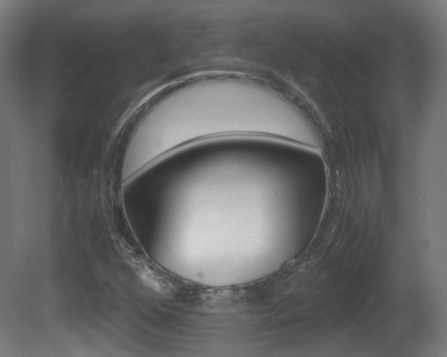 X0000081391352200701111156