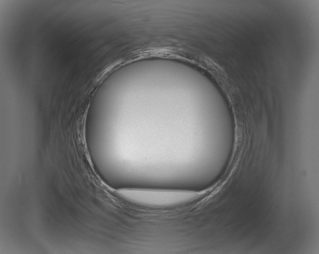 X0000081391353200701111156