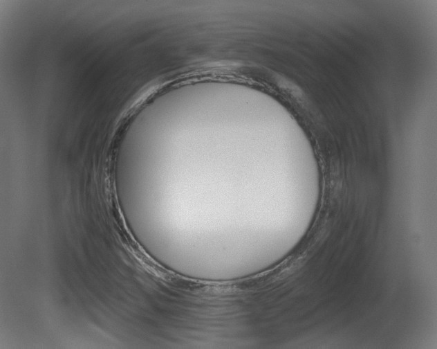 X0000081391354200701111156