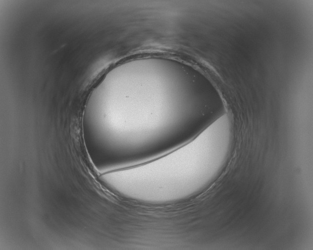 X0000081391355200701111156