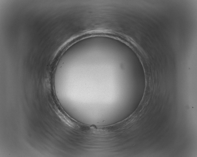 X0000081391356200701111156