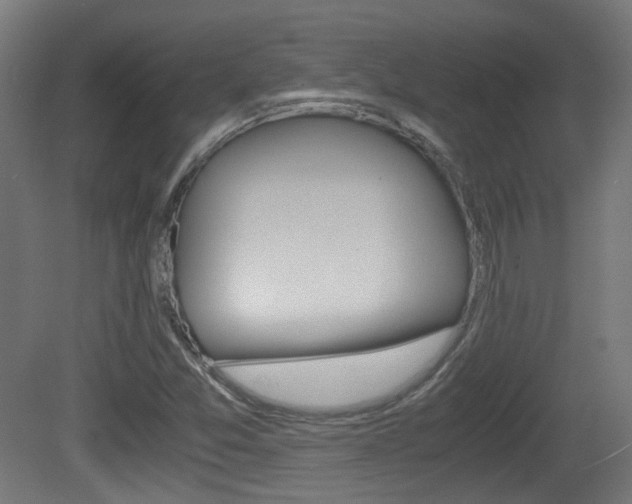 X0000081391357200701111156