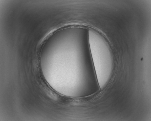 X0000081391359200701111156