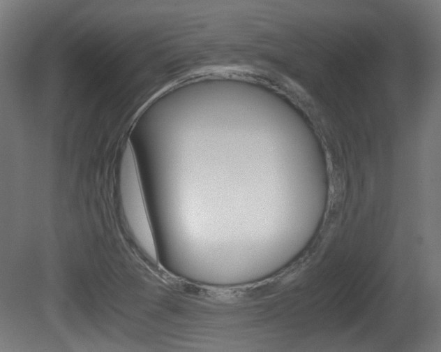 X0000081391361200701111156