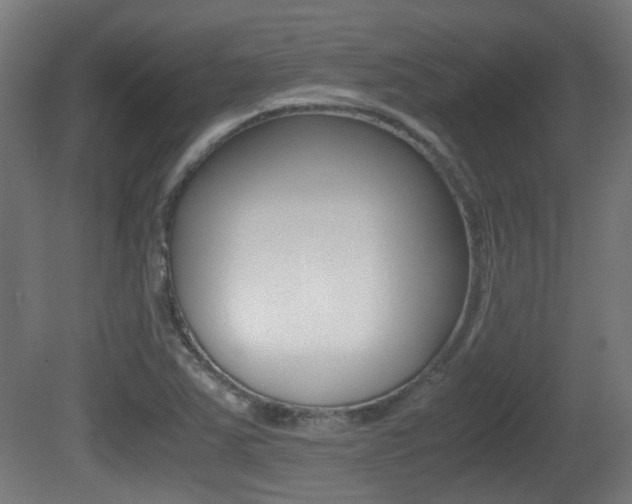 X0000081391363200701111155