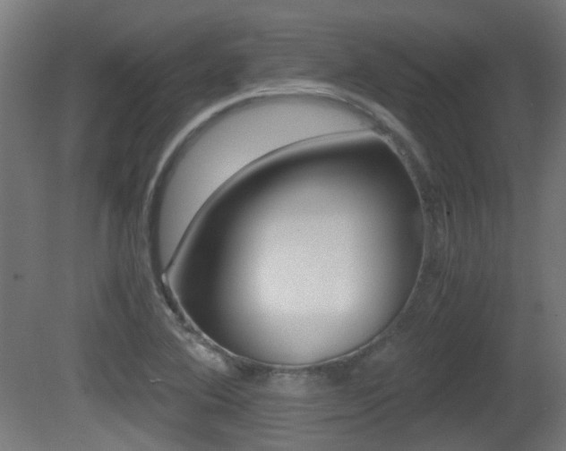 X0000081391364200701111155