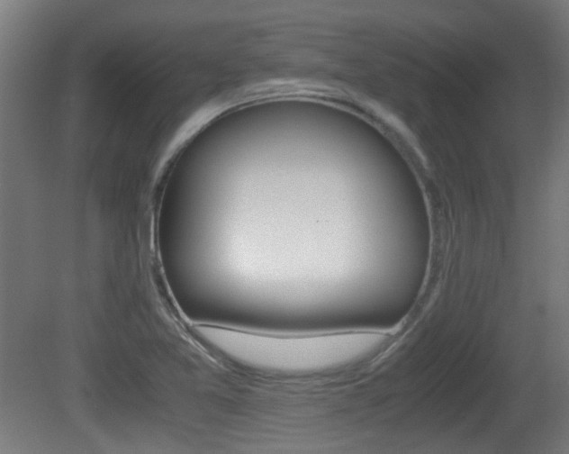 X0000081391365200701111155