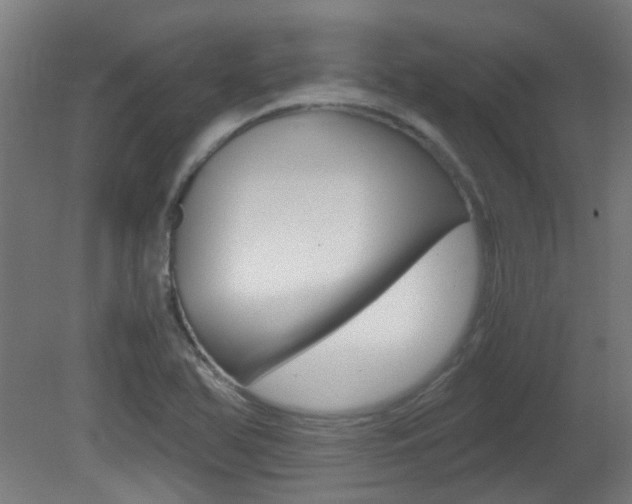 X0000081391366200701111155