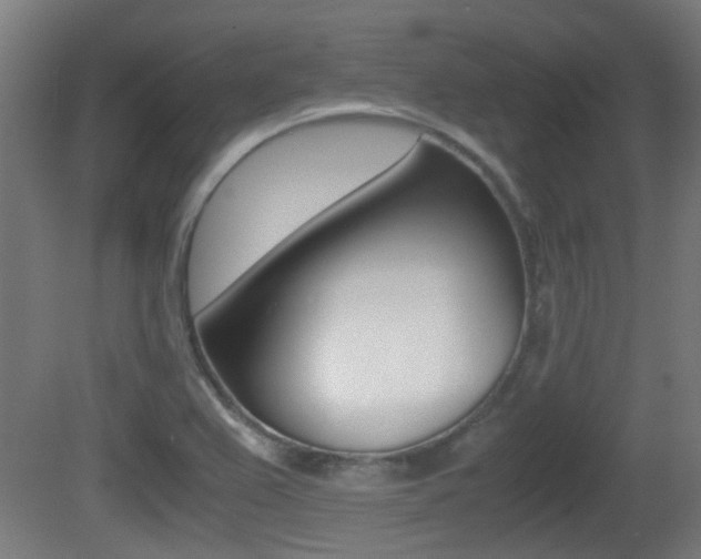 X0000081391367200701111155