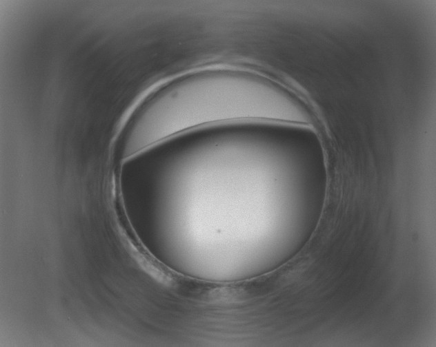 X0000081391368200701111155
