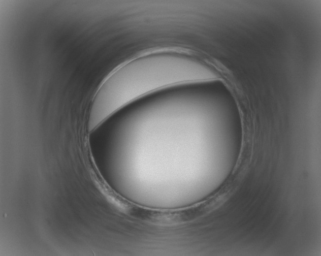 X0000081391369200701111155