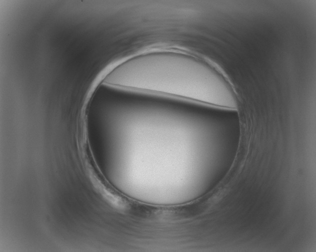 X0000081391371200701111155