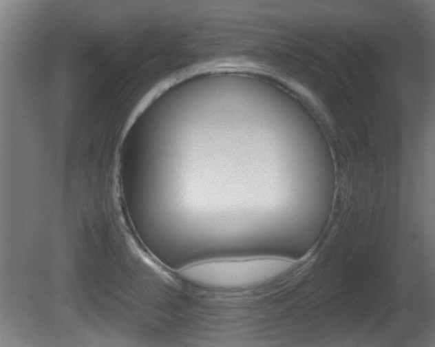 X0000081391374200701111155