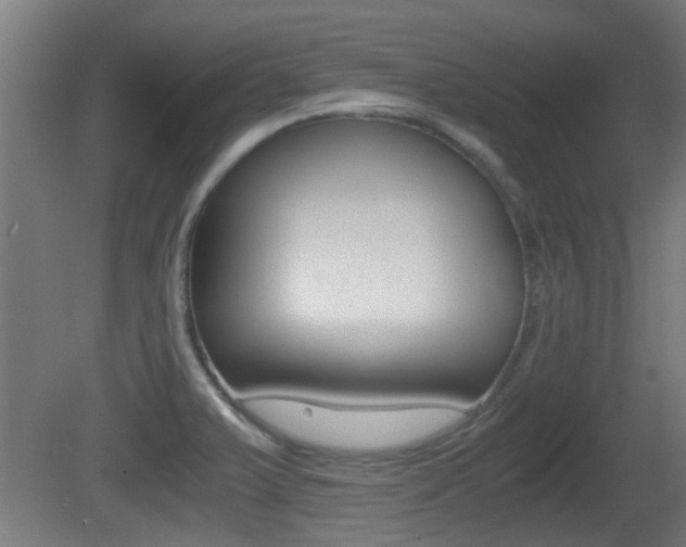 X0000081391375200701111155