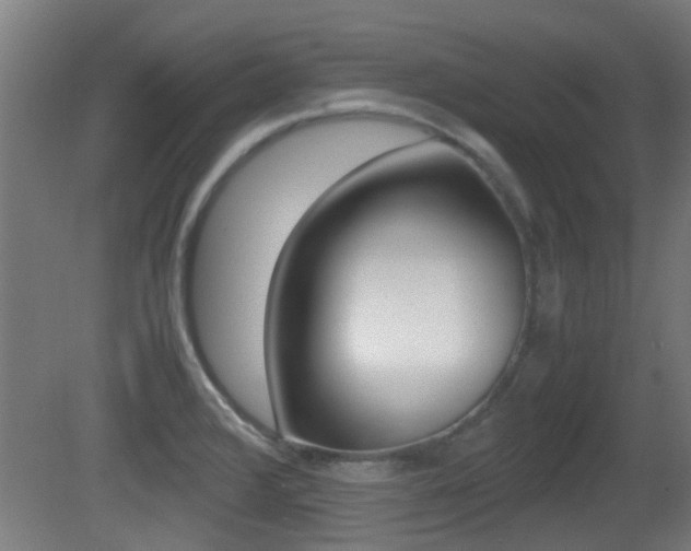 X0000081391376200701111155